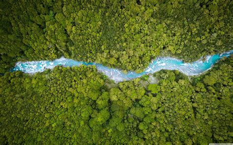 Forest Aerial View 4k Wallpapers - Wallpaper Cave