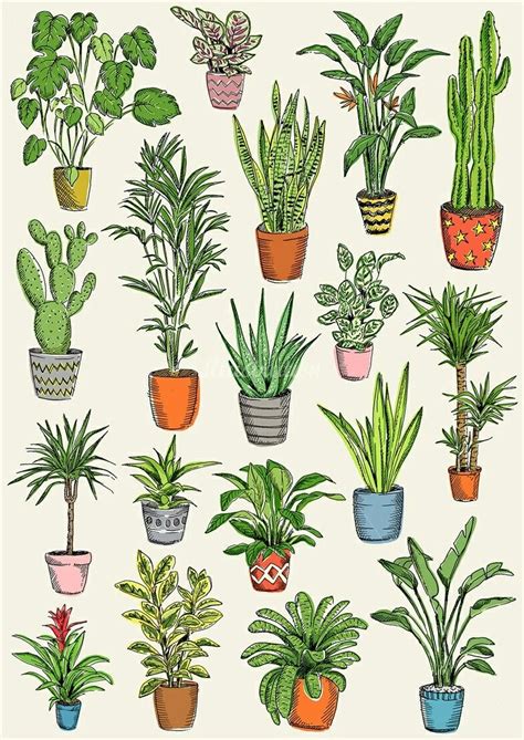 Pin by Belem Rodríguez on Diseño | Plant sketches, Plant drawing ...