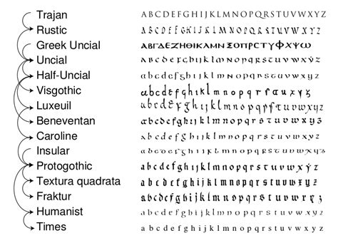 Calligraphy Alphabet : Latin Alphabet