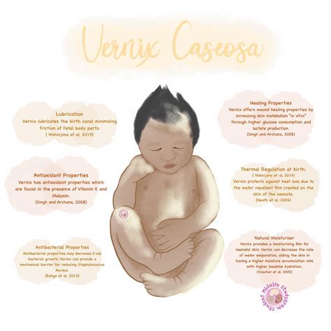 🤍💛 Vernix Caseosa 💛🤍 Vernix... - Student Midwife Studygram