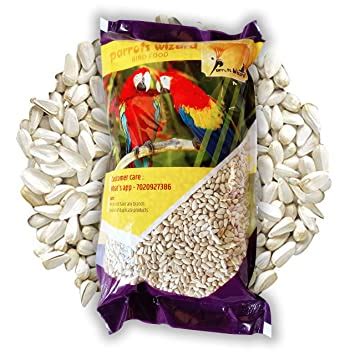 Safflower Seeds For Wild Birds - Pet Food Guide