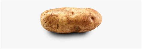 Russet Potato Recipe - Peter Dutton Potato PNG Image | Transparent PNG Free Download on SeekPNG