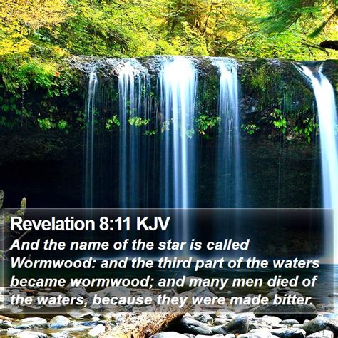 Revelation 8:11 KJV - And the name of the star is called Wormwood: and