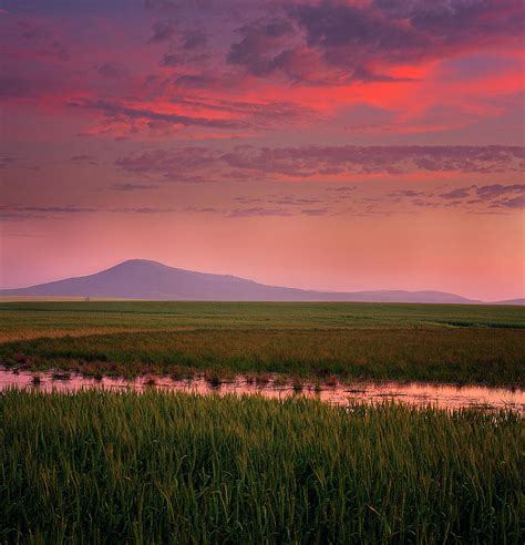 Pink Sunset by Photography By Jo-ann Stokes