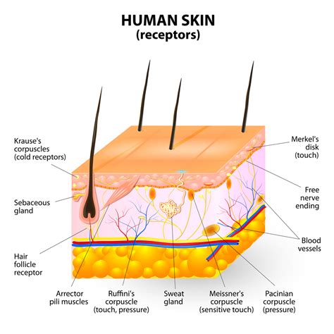 Acne Treatment And Prevention - Dr. Batul Patel (M.D. - Dermatologist)