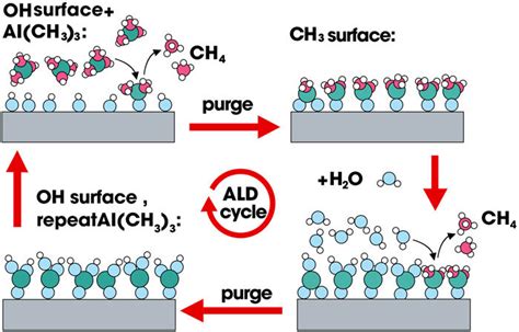 Schematic of atomic layer deposition process. | Download Scientific Diagram