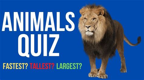 Kids Animals Quiz | Can you name the Tallest, Largest, Fastest Animals ...