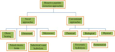 Frontiers | Bioactivities, Applications, Safety, and Health Benefits of ...