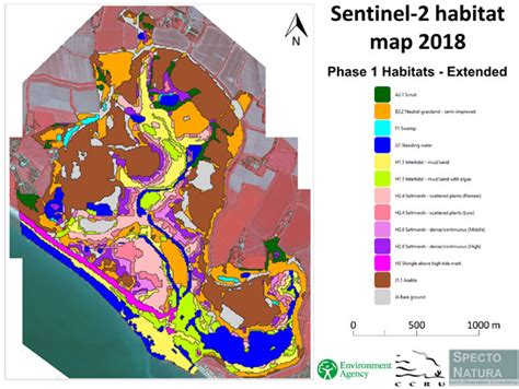 Copernicus Sentinel-2 helps generate "game changing" intertidal habitat ...