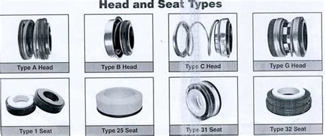 Swimming Pool Pump Seals