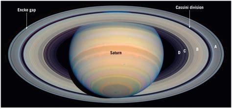 Answered: Encke gap Cassini division В Saturn D C… | bartleby