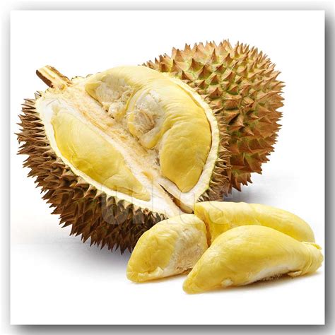 Manfaat Buah Durian -Biologi- HEPTA BIOLOGI