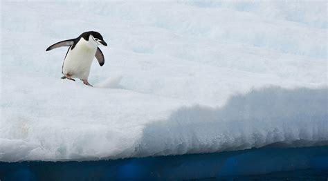 Antarctica 2023 Photographers Only Expedition – PhotoPXL