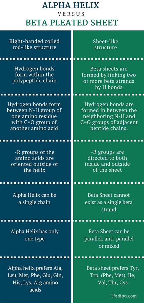 Difference Between Alpha Helix and Beta Pleated Sheet