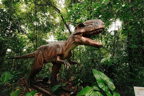 Dino Park Blue River - Costa Rica’s Most Roaring Amusement Park!