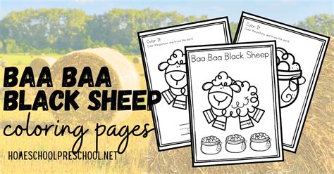 Free Printable Baa Baa Black Sheep Coloring Pages