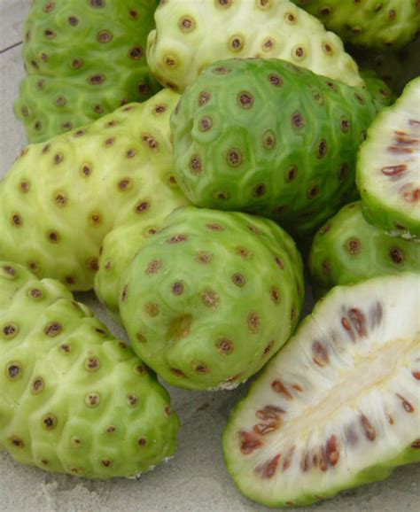 Noni Fruit Capsules