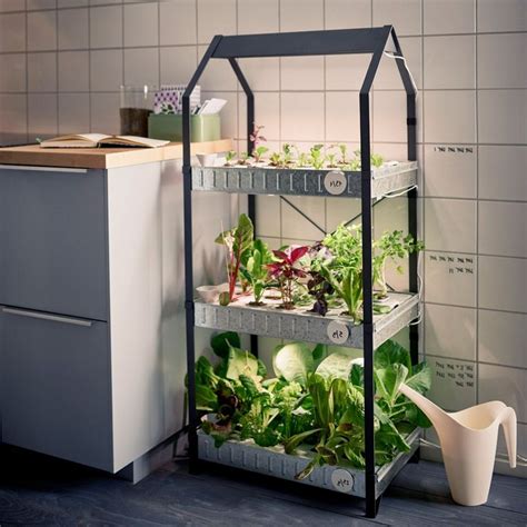 35+ Inspiring Hydroponic Gardening Ideas | Hydroponic gardening, Indoor gardening kit, Hydroponics