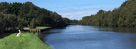 Cooks River Catchment Coastal Management Program - Cooks River Alliance