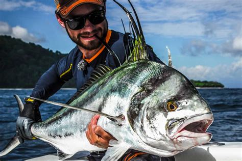 Roosterfish: Species Spotlight | Big Game Fishing | Sportquest Holidays