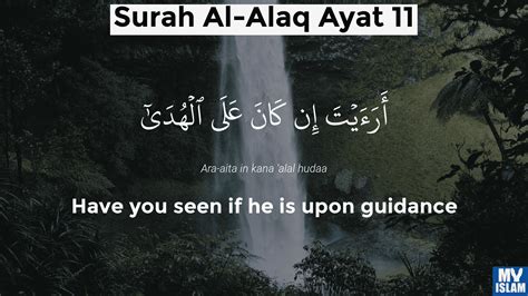 Surah Alaq Ayat 10 9610 Quran With Tafsir My Islam | Porn Sex Picture