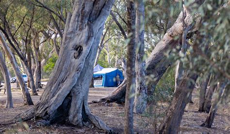 Horseshoe Bend Camping Area