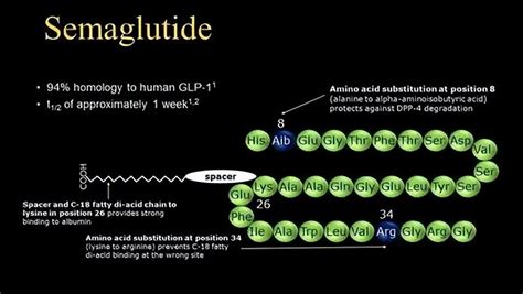 多肽定製合成：Semaglutide/索馬魯肽/司美格魯肽/910463-68-2 - 資訊咖