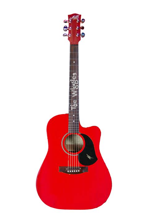 Red Maton Acoustic Guitar V1 by Disneyfanwithautism on DeviantArt