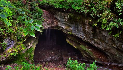 Guide to Visiting Mammoth Cave National Park