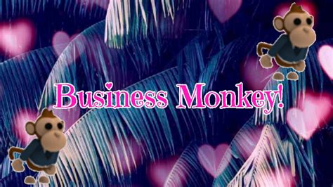 Roblox | I GOT The Business Monkey! | Adopt Me - YouTube