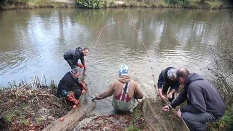 Christchurch Angling Club Fishery Management Part 2 - YouTube