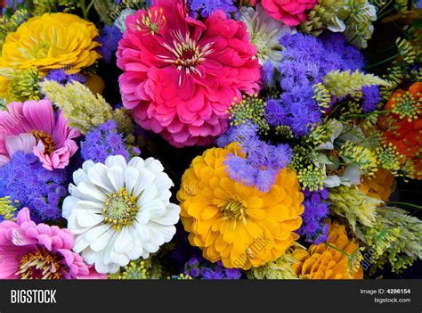 Summer Bouquet Image & Photo (Free Trial) | Bigstock