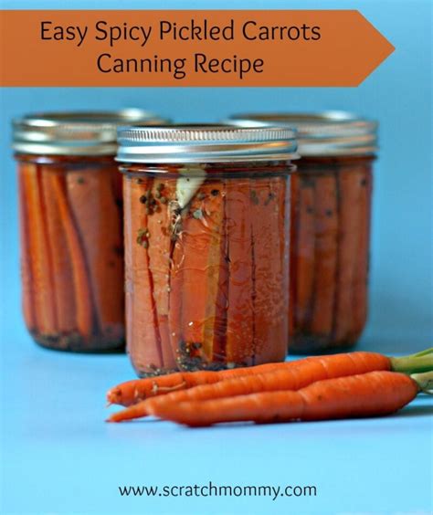 Easy Spicy Pickled Carrots Canning Recipe - Scratch Mommy