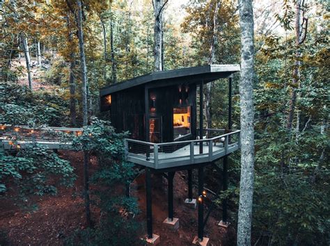 Treehouse rentals | Airbnb