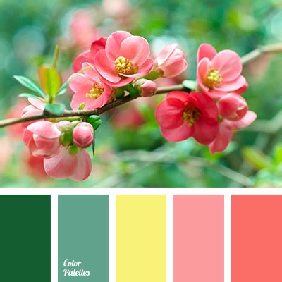 peach-coral | Color Palette Ideas