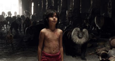 Neel Sethi, Wild Child Mowgli in “The Jungle Book” | ReZirb