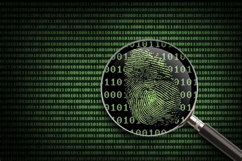 Criminal Background Check 101: What You Need to Know - Top5 | Computer forensics, Forensics ...