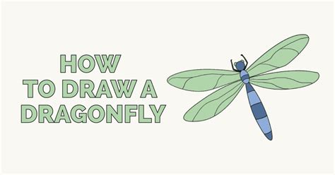 How to Draw a Dragonfly — Really Easy Drawing Tutorial | by Easy ...