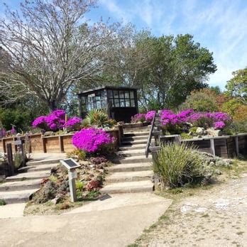 UC Santa Cruz Arboretum, Santa Cruz, CA - California Beaches