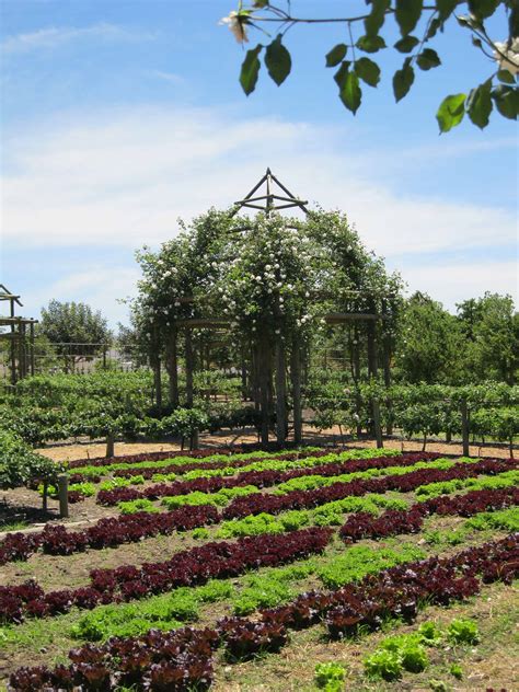 Babylonstoren – An Exemplary Productive Garden - The Garden Visitor