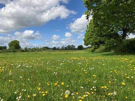 Welcome to Spring Hill Farm, Banbury | Spring Hill Farm