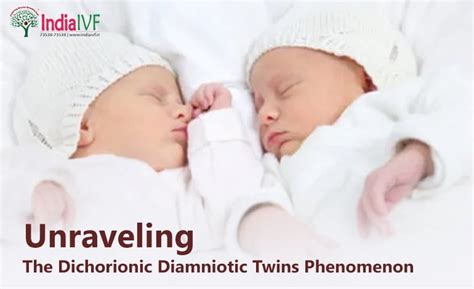 Dichorionic Diamniotic Twins: A Double Dose of Happiness | India IVF ...