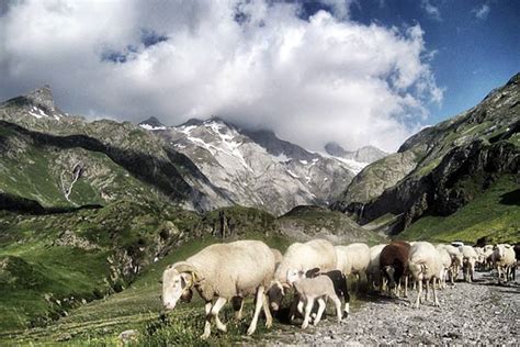 Pyrenees – Border Between France & Spain (Complete Guide)