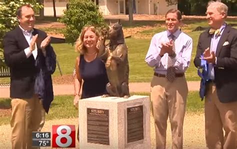 4-Legged War Hero Sgt. Stubby Gets His Own Monument in Connecticut