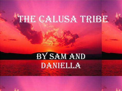 PPT - The calusa tribe PowerPoint Presentation, free download - ID:283187