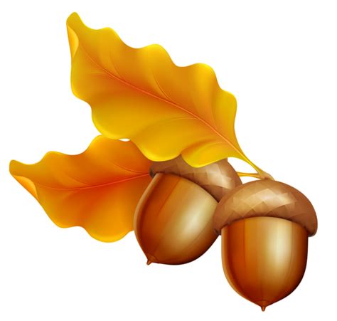 Acorn Transparent PNG - PNG Play