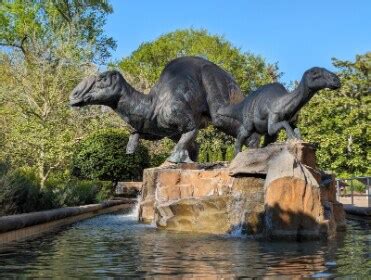 Fernbank Museum 3D Theater Forest | Atlanta - What to Expect | Timings ...