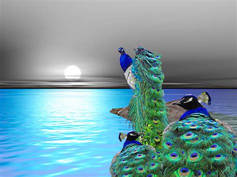 Paintings-of-Artists-Original-Unusual- Art: Painting of Peacocks On Ocean With Dark Moon