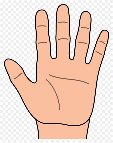 Clip Art Of Hands - Hand Of God Clipart - FlyClipart