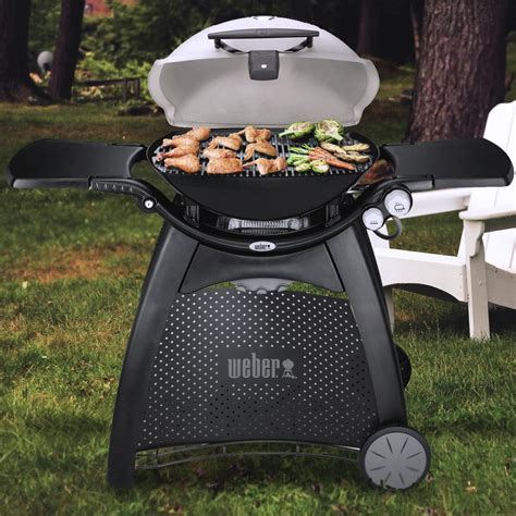 Weber Q 3200 Gas Grill | ubicaciondepersonas.cdmx.gob.mx